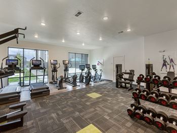 A spacious fitness center with cardio equipment and windows